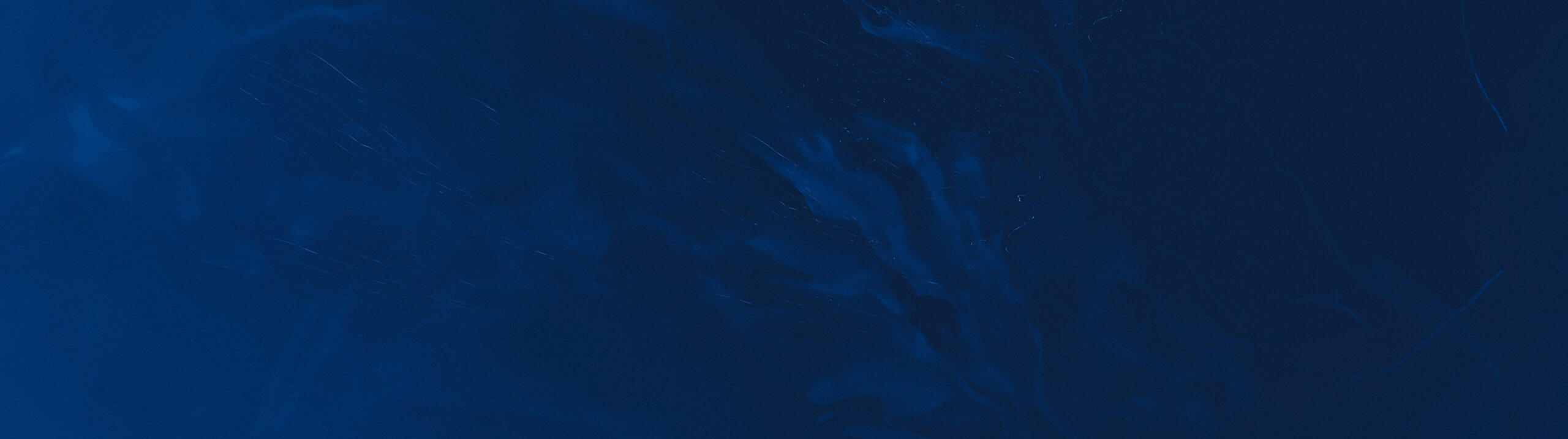 Attack On Titan: Battle For Humanity — Overview