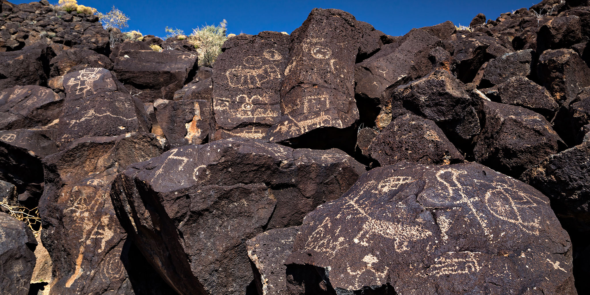 abq petroglyph