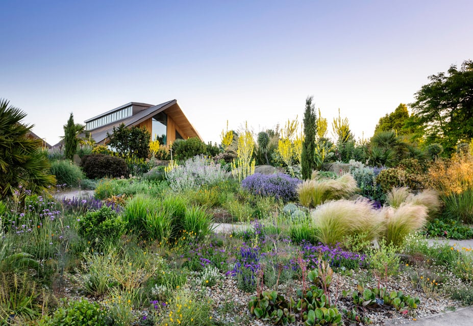 rhs garden hyde hall